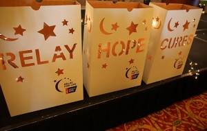 Solid Image Photo9Y2A2193_cropped                        